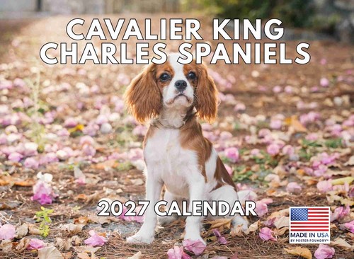 Cavalier king charles - cavalier, calendar