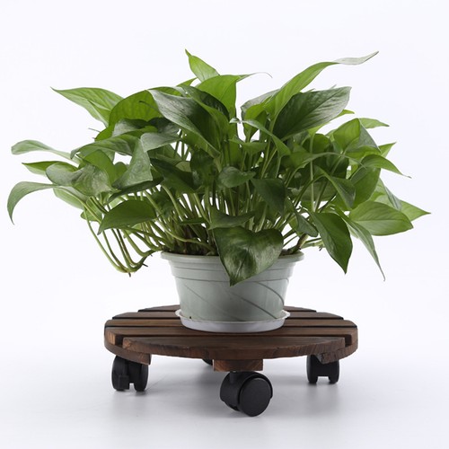 Ronde planteur chariot - planteur, stand