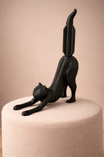 Papier toilette pour chat