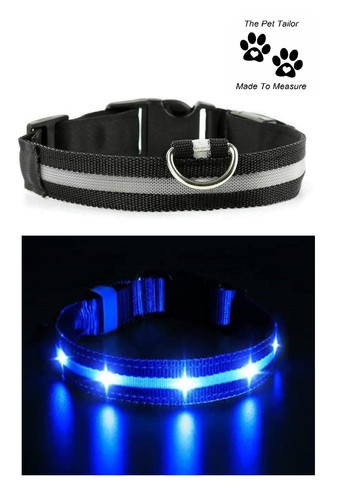 Samoyède chien led collier - led, de
