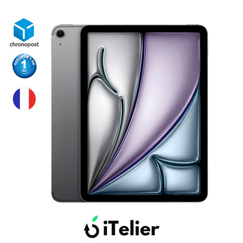 Ipad air 256 go - air,