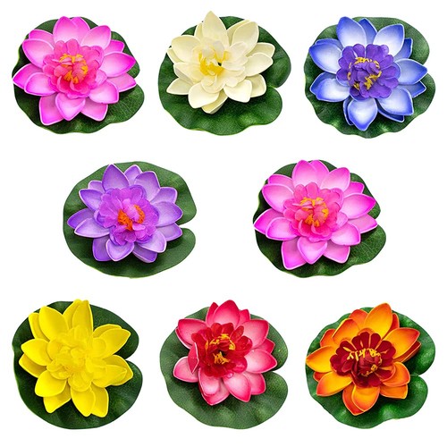 Fleur mousse lotus - fleur,