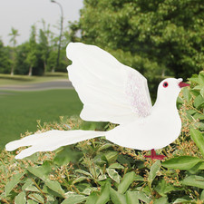 Ornement Paix Mariage Colombe