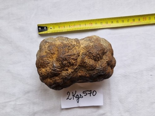 Grosse marcassite 2kg570 - marcassite,