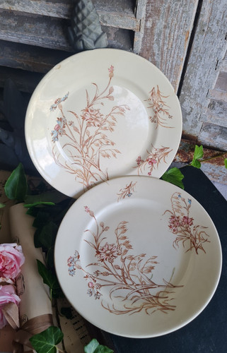 Anciennes assiettes plates - 2,