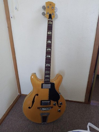 Guitare basse semi acoustique - guitare,