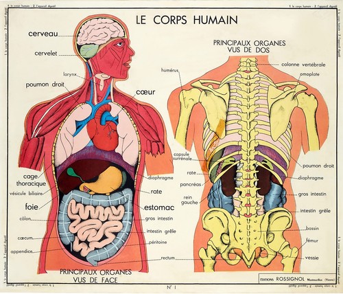 Carte vidal lablache corps - carte,