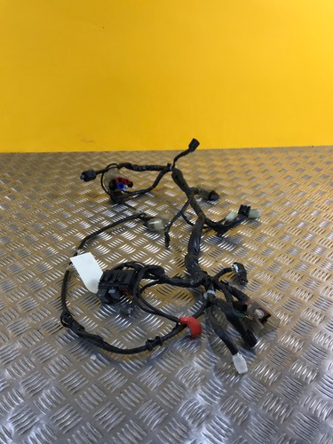 Faisceau électrique pour