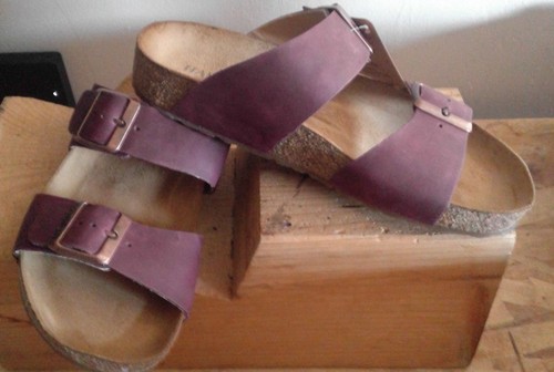 Haflinger mules bio andrea - mules,