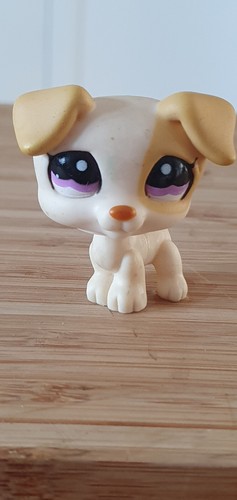 Petshop chien jack - chien,