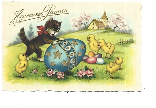Illustration chat noir - chat,