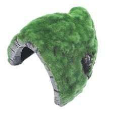  Décoration De Terrarium