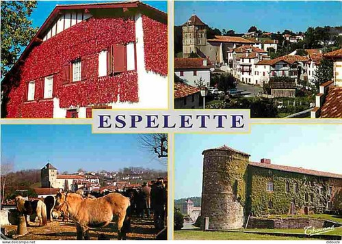 Carte postale animaux - postale,