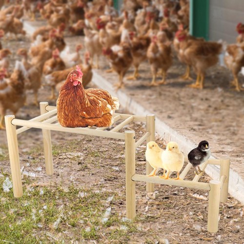 Perchoir bois pour - en,