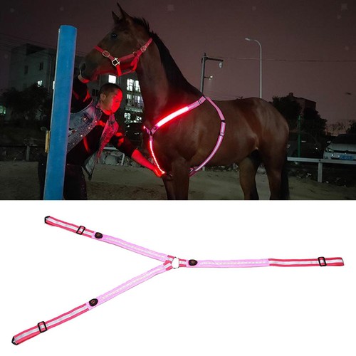 Led harnais cheval col - cheval,