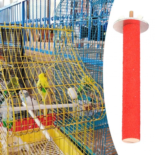 Cage perroquets - cage,