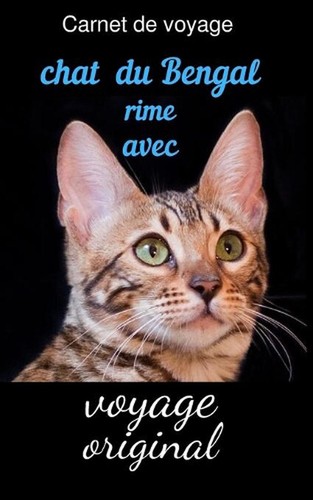 Carnet voyage chat du - carnet,