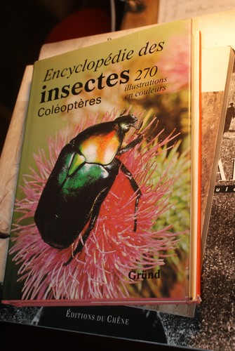 Encyclopédie des insectes - ,