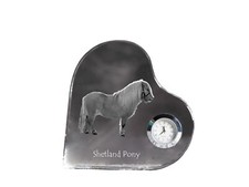 Shetland Poney - Montre Avec