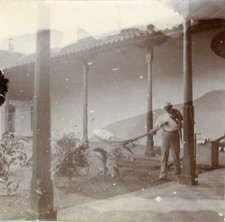 Nicaragua, man tying a hammock in a garden, ca.1898, vintage citrate pri