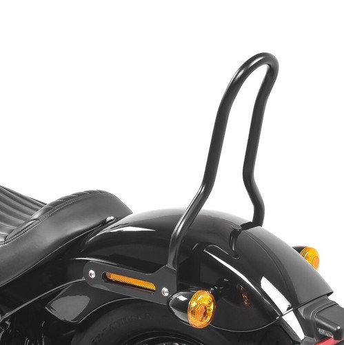 Sissy bar pour harley davidson - bar,