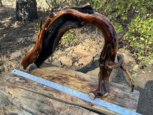 Manzanita driftwood reptile - driftwood,,