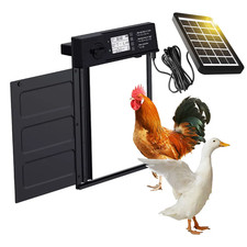 Porte Automatique De