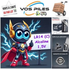 Piles LR14 C MN1400 AM2