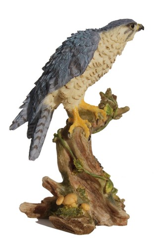 Inch peregrine falcon - peregrine, on