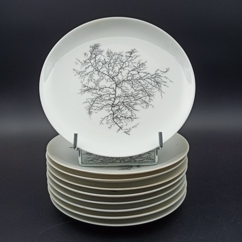 Limoges petites assiettes - -,