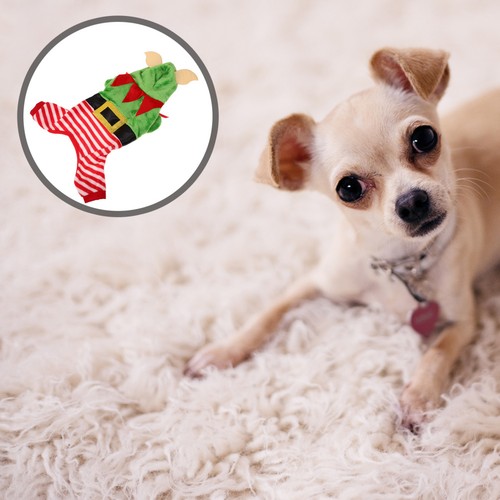 Deguisement renne chien - deguisement,