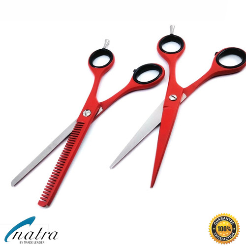 Ciseaux cheveux de - 2x,