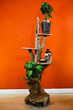 Escalier Teck Bois de Racine