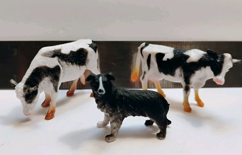Border collie and - border, two