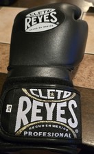 CLETO REYES Training Boxing