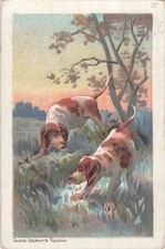 ILLUSTRATED FRENCH RUNNING DOGS CP - HUNTING - 35154