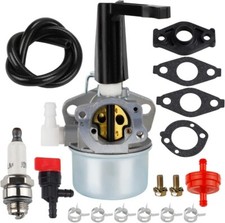 696065 Carburateur pour Briggs
