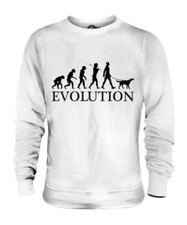 Gordon Setter Évolution De