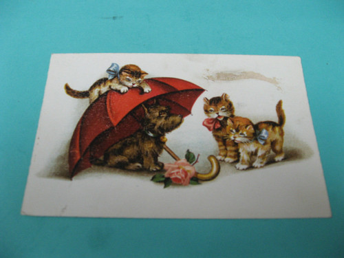 Cpa chats chien parapluie - cpa,