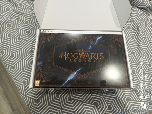 Hogwarts legacy l héritage - legacy, :