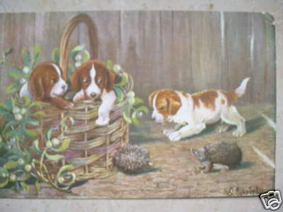 3341 chiens igel jack - 3341, pc