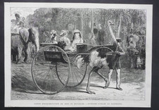 GRAVURE 1875.. Jardin