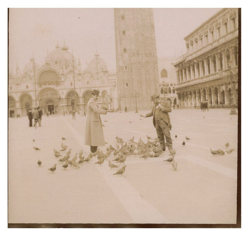 Italie venise les - pigeons, de
