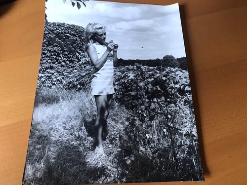 Caroline cellier photo - -,