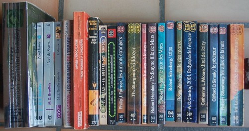 Lot livres fantastique - livres, sf/fantastique