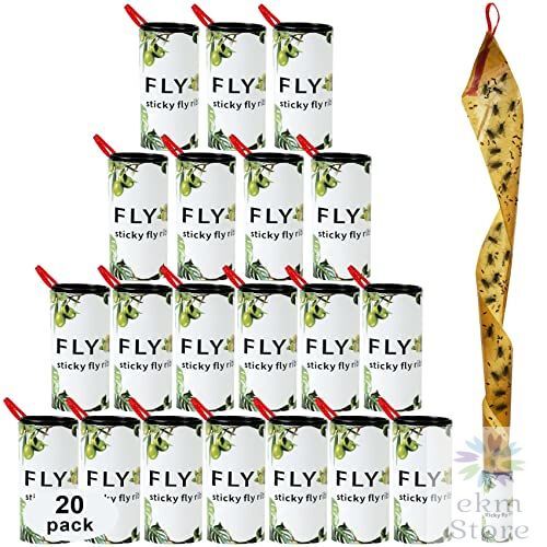 Attrape mouche papier - attrape,