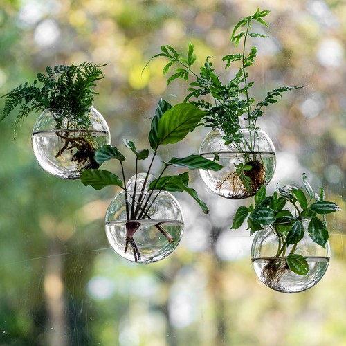 Glass terrarium planter - terrarium,