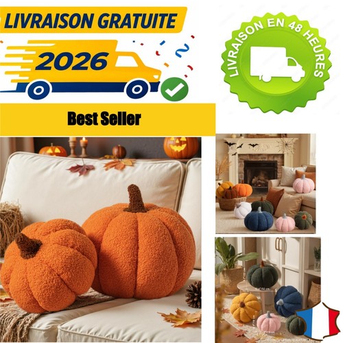 Coussins citrouille halloween - coussins,