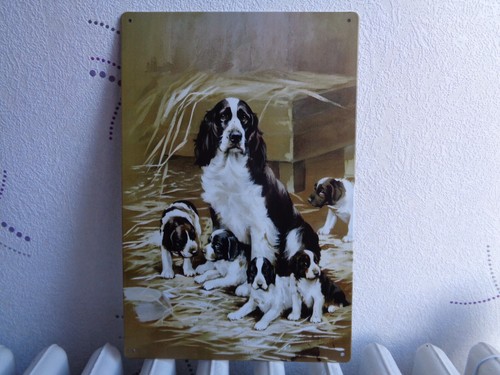 Tole metal chien chiot - metal, 30