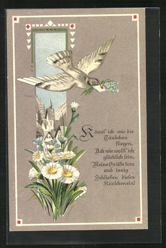 Carte postale oiseau pigeon - postale,